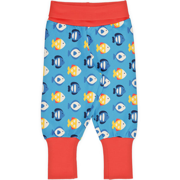 Maxomorra - Rib Pants - Tropical Aquarium