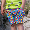 Coddi & Womple - Harem Shorts - Rainbow Scales ** LAST ONE sz 1
