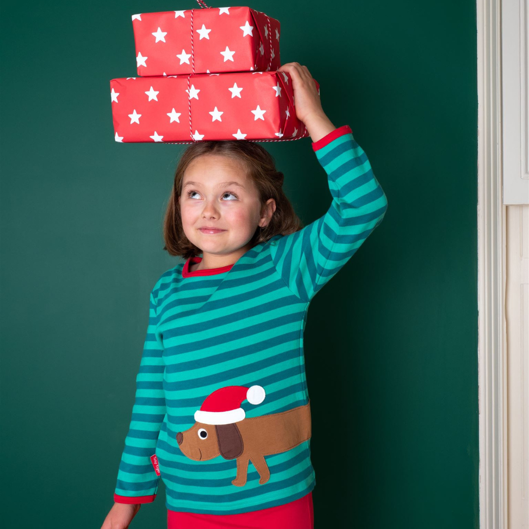 Toby Tiger - LS Tee - Organic Christmas Dog Applique